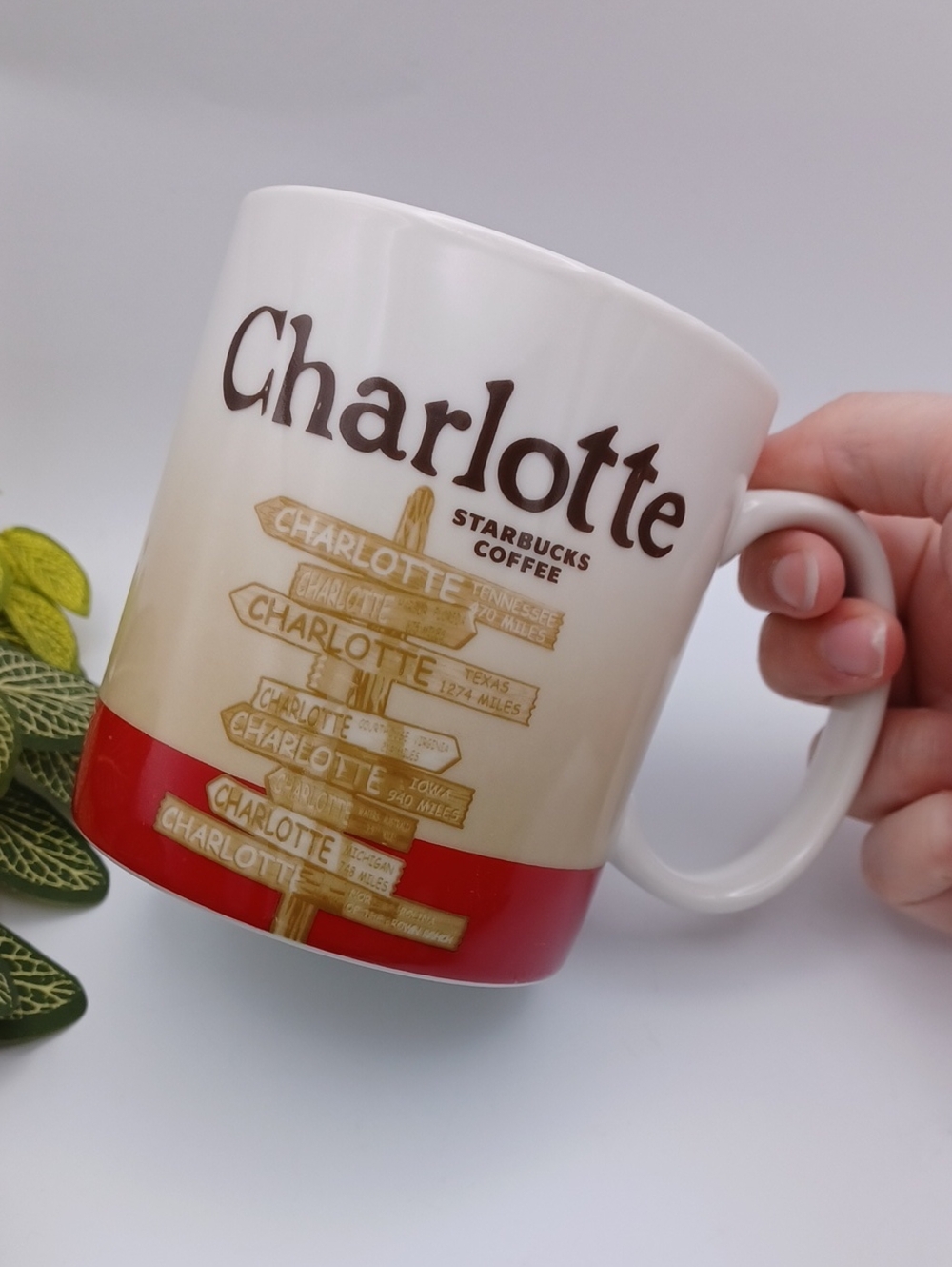 Starbucks Charlotte Mug
